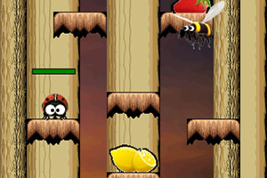 小瓢虫的历险记