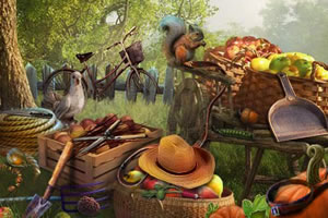 草原农场的趣事