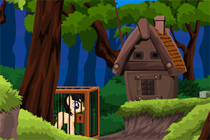 小马驹丛林逃生