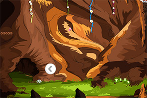 加拿大洞穴逃生