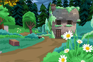 大金刚笼子逃脱