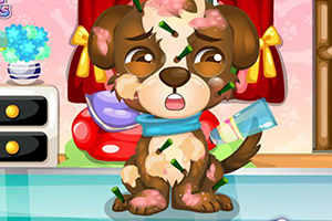 可爱的小狗护理