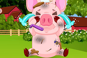 脏兮兮的小猪
