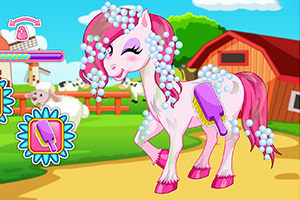 可爱的小马沙龙