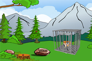 小老虎笼子逃生