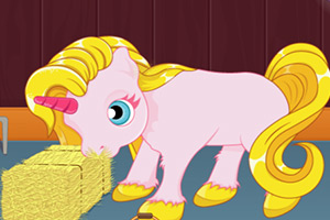 照顾可爱的小马驹