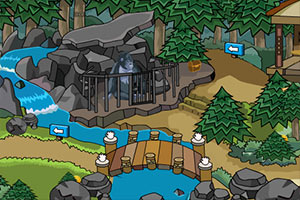 被困的猩猩逃脱