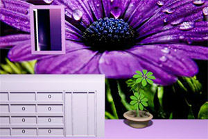 詹娜的蝴蝶房间逃脱