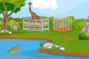 迈阿密动物园逃脱