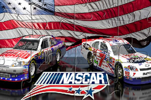 纳斯卡赛车拼图