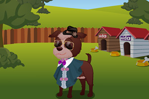 可爱的汪星人换装