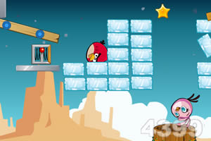 愤怒的小鸟爱洗澡2