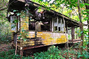 比齐沃斯疯人院逃生