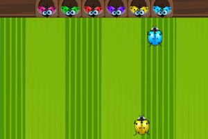 小昆虫寻找爱人