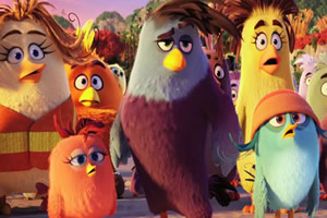 愤怒小鸟电影找数字