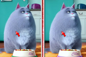 宠物的秘密生活找茬