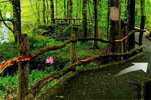 原始人逃出森林