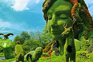 蒙特利尔植物园逃生