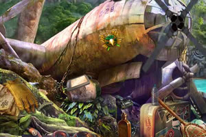 百慕大群岛的秘密