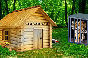 小老虎笼子逃脱