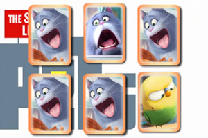 宠物的秘密生活记忆卡