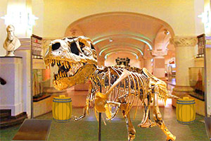 逃离恐龙博物馆