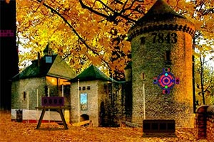 愤怒的黑猩猩逃脱