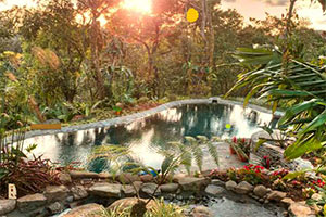 逃出蒙特别墅花园