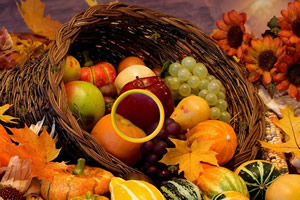 感恩节图片找火鸡