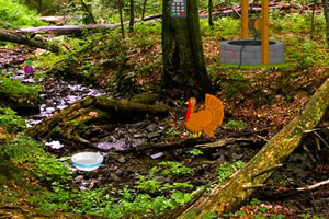 救援感恩节火鸡