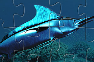 旗鱼拼图