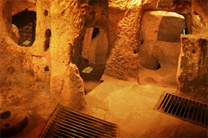 火鸡逃脱神秘洞穴