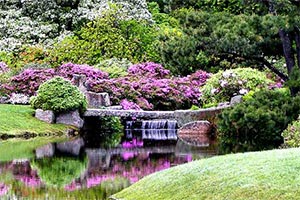 阿斯蒂库杜鹃花园逃脱