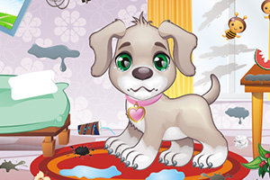 小狗房间大清洁