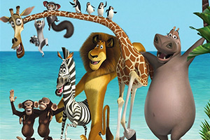 马达加斯加大拼图