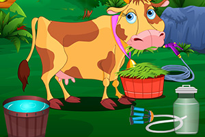 照顾我可爱的奶牛