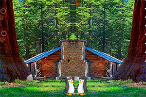 深绿色森林逃脱