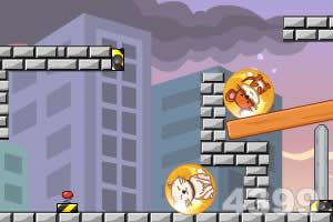 猫和老鼠爱吃鱼