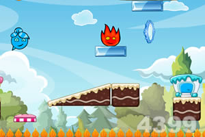 森林冰火人回家记