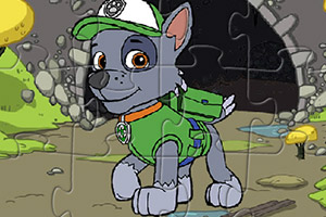 来拼狗狗救援队