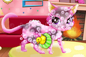 照料可爱的小猫咪