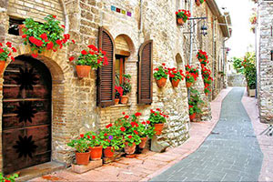 地中海街头逃脱