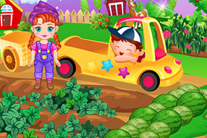 安娜宝贝种西瓜