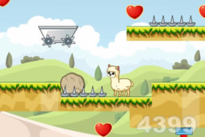 小羊回家三人组