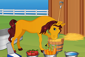 艾玛宝贝照顾小马