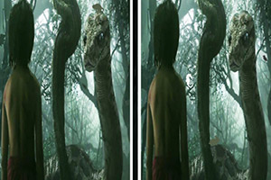 丛林故事找不同