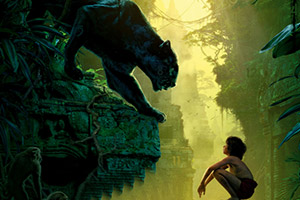 丛林故事找数字