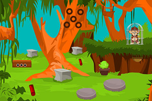 小猴子逃出丛林