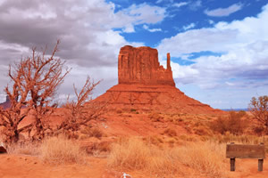 孤独旅行者的逃生之旅