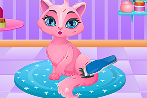 毛茸茸的小猫咪